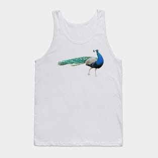 Peacock Digital Painting Tank Top